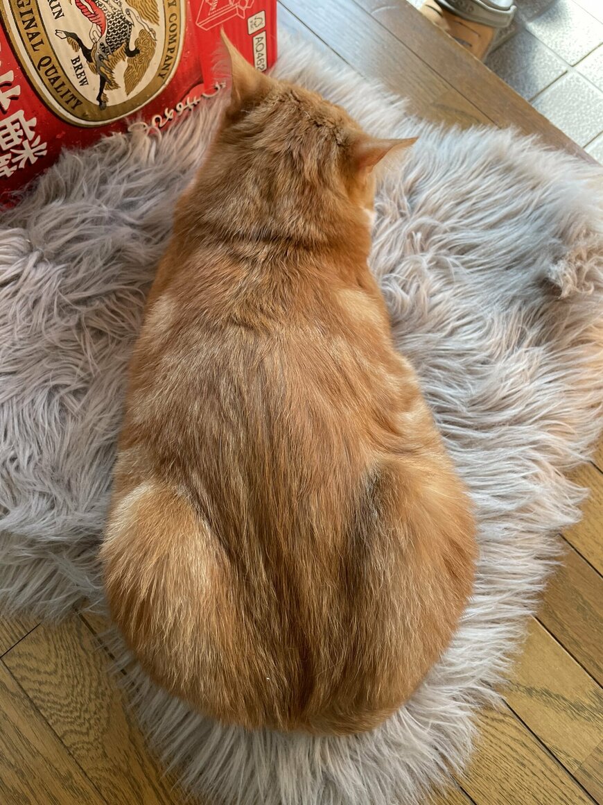 出所：@Beercat_Ana_Dar