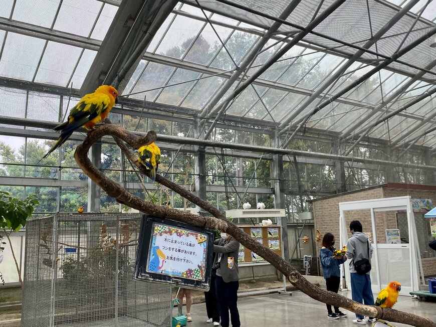 画像出所：インコの餌やりコーナー（筆者撮影）