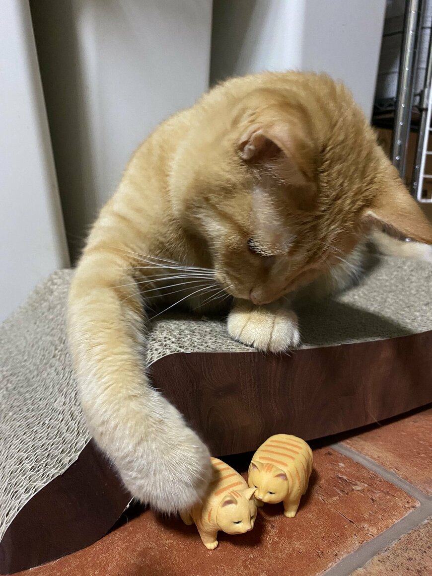 出所：@luna7taka9