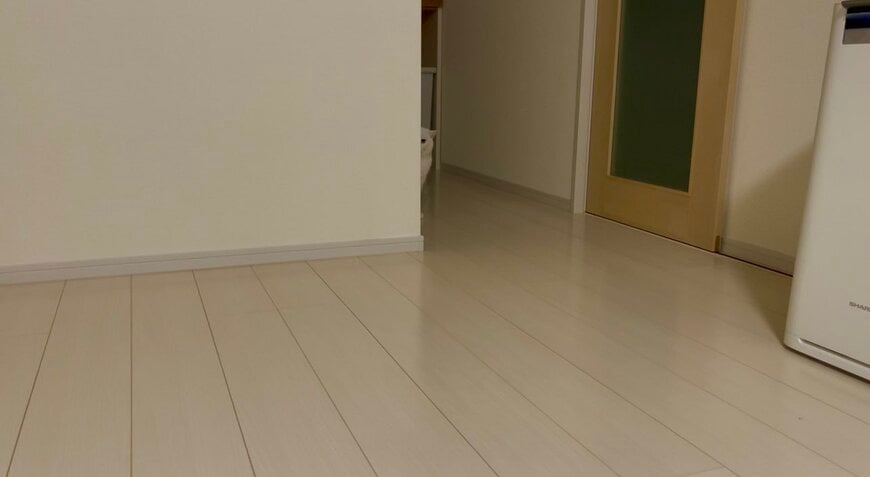 ゲーム中振り返ると背後から視線が…　半隠れで飼い猫がこっち見てる　覗き見なのにすごい圧で爆笑