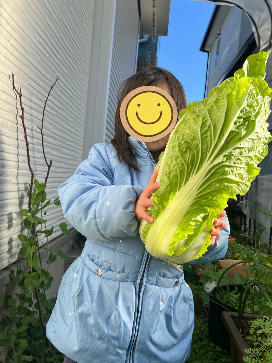 出所：@zebra.411670