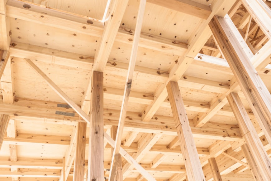 Faula Photo Works/shutterstock.com