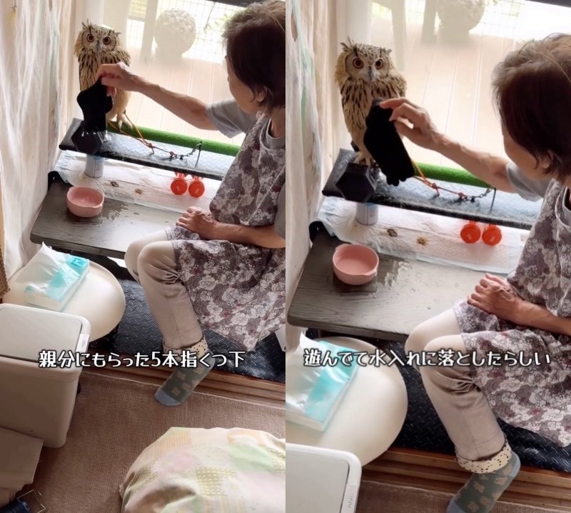 出所：@ba_chantolatte