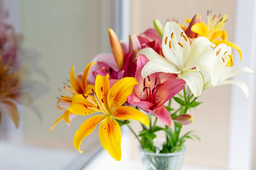 【ガーデニング】暑い室内で切り花がグッタリ…花を長持ちさせる方法は？