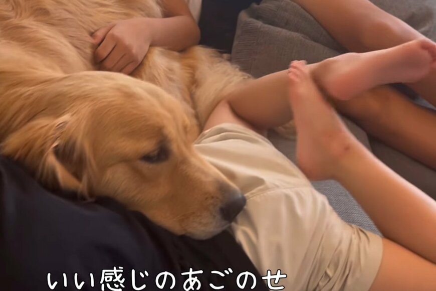 投稿動画のワンシーン