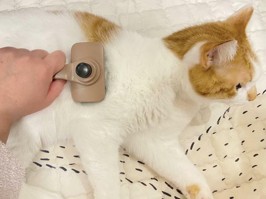 ペット用ブラシ(ボタン式)