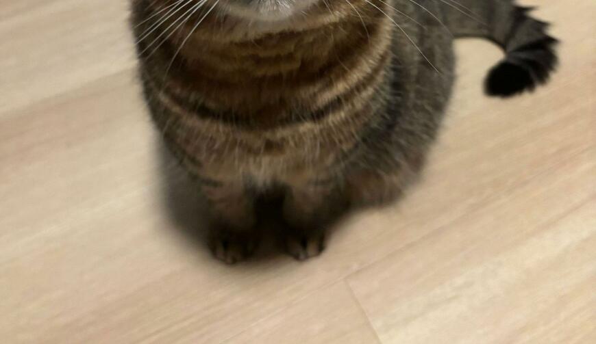 投稿の画像