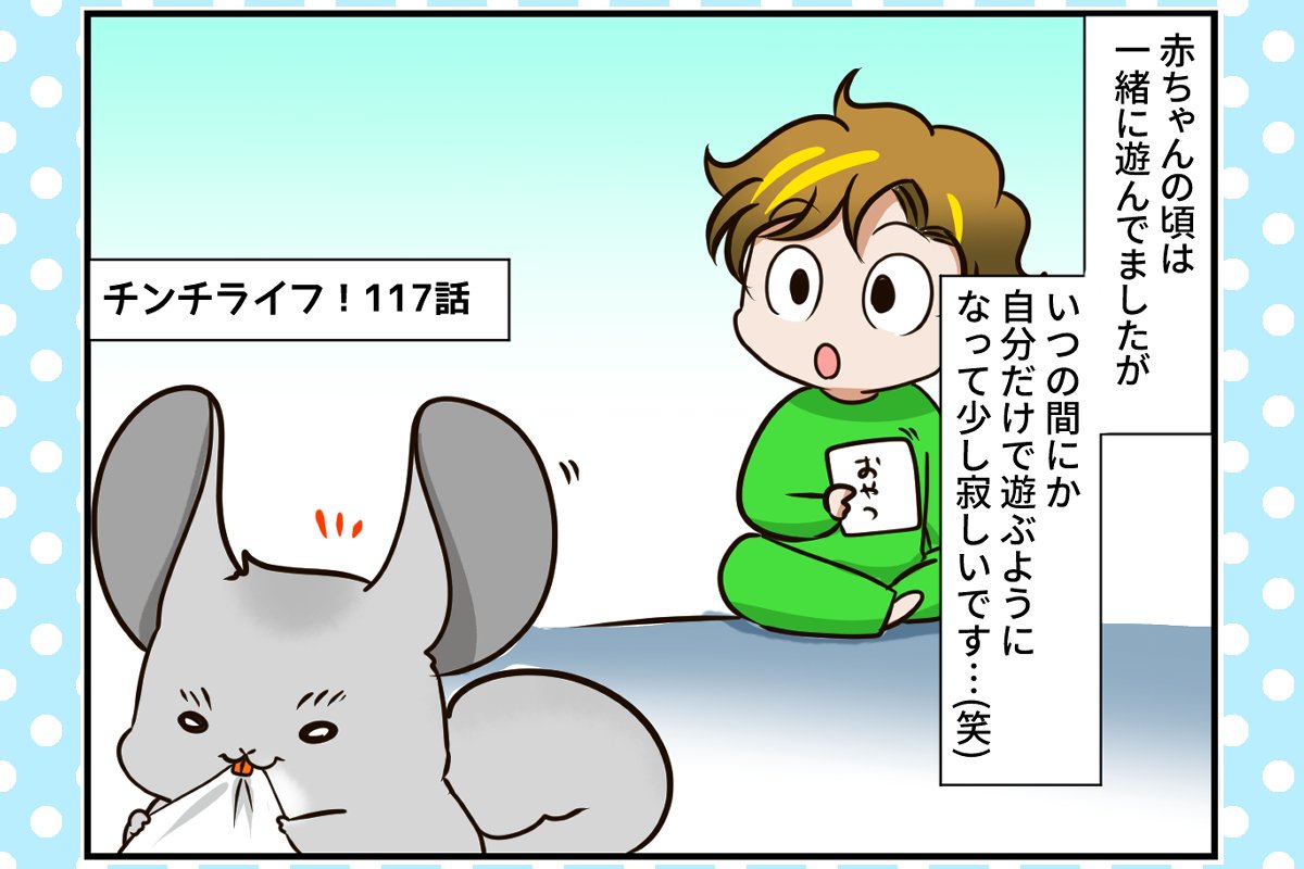 チンチラ男子 ついに反抗期 いつまでも可愛いベビーじゃいられない チンチライフ117話 マンガ記事 チンチライフ Limo くらしとお金の経済メディア