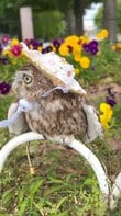 初夏のフクロウ】お花畑を散策するフクロウさん…麦わら帽子姿が