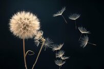 【年金一覧表】実際に支給された平均額はいくら？年金では「日常生活費程度もまかなうのが難しい」の考えが39.1％