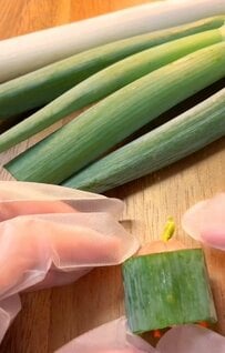 〈コンクールの日〉娘のために母が作る「応援弁当」は…超豪華！ハンバーグにからあげ、卵焼き！そして主役の「ソーセージ」!?