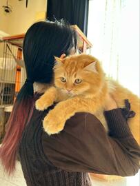 ママに抱かれる猫さん…パパへの「相反する対応」に笑ってしまう「それが同居4年での答えか…」