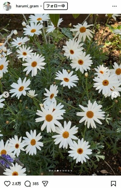 栗原はるみのInstagram投稿