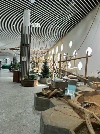 ニフレルの展示スペース