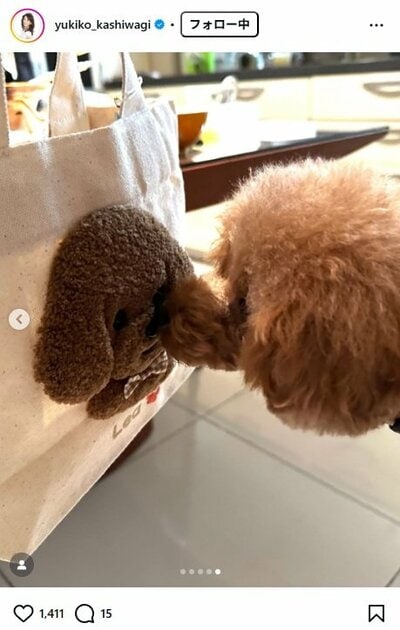 柏木由紀子のInstagram投稿