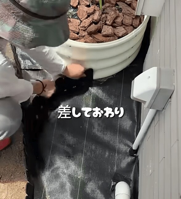 【ビフォーアフター】たった30分で「可愛い花壇」が完成！今すぐまねしたい初心者OKの簡単作業