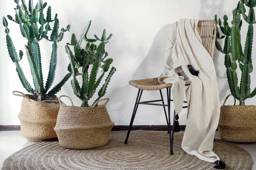 brizmaker/Shutterstock.com