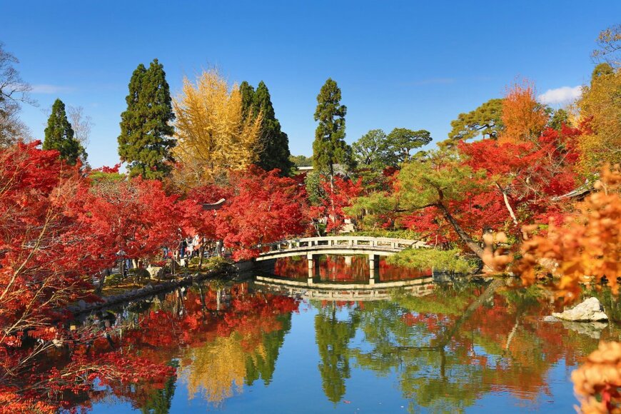 seaonweb/shutterstock.com