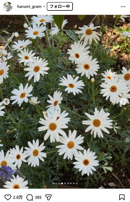 出所：栗原はるみのInstagram（＠harumi_gram）　参照日：2026年3月24日