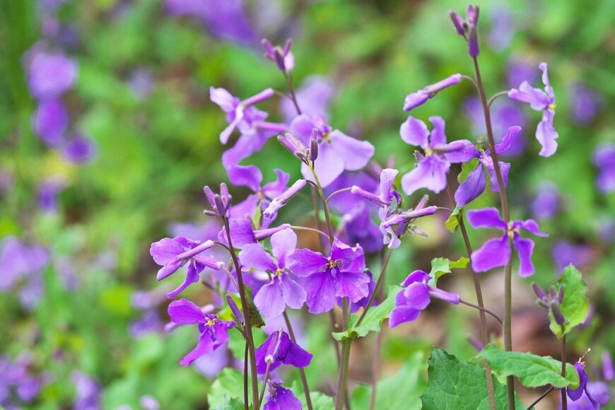 igaguri_1/istockphoto.com