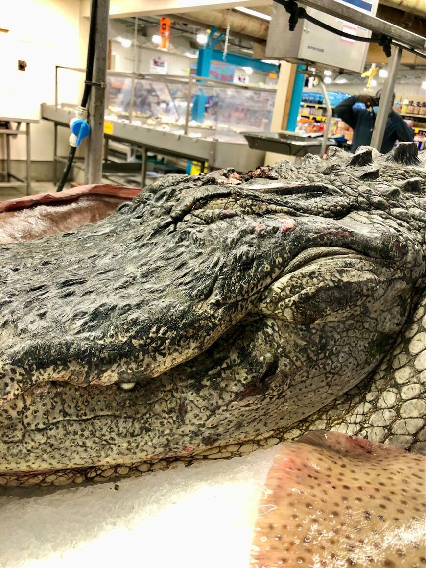 出所：@girlmeetsNG