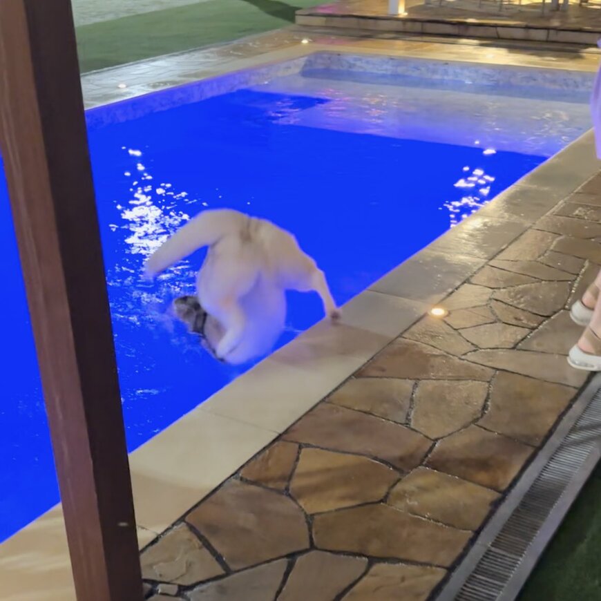 出所：@5rose_husky