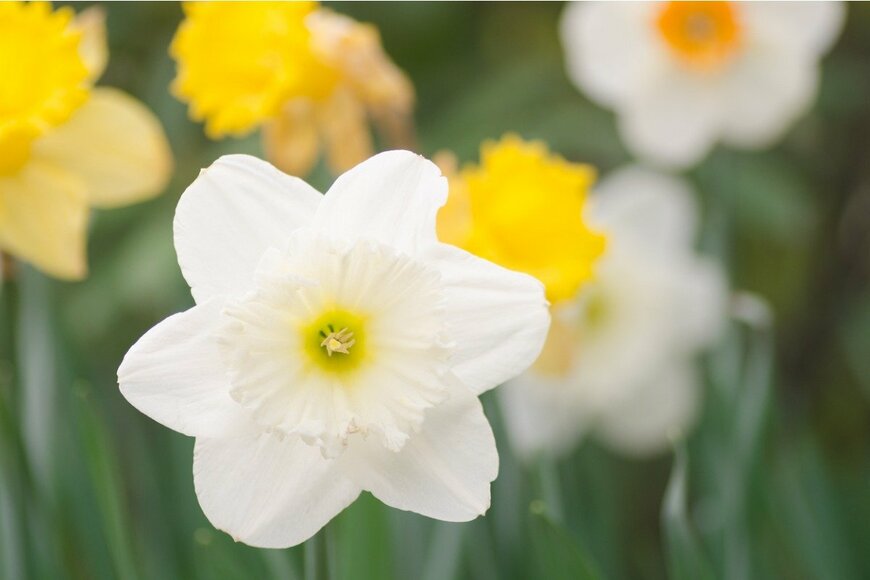 aga7ta/istockphoto.com