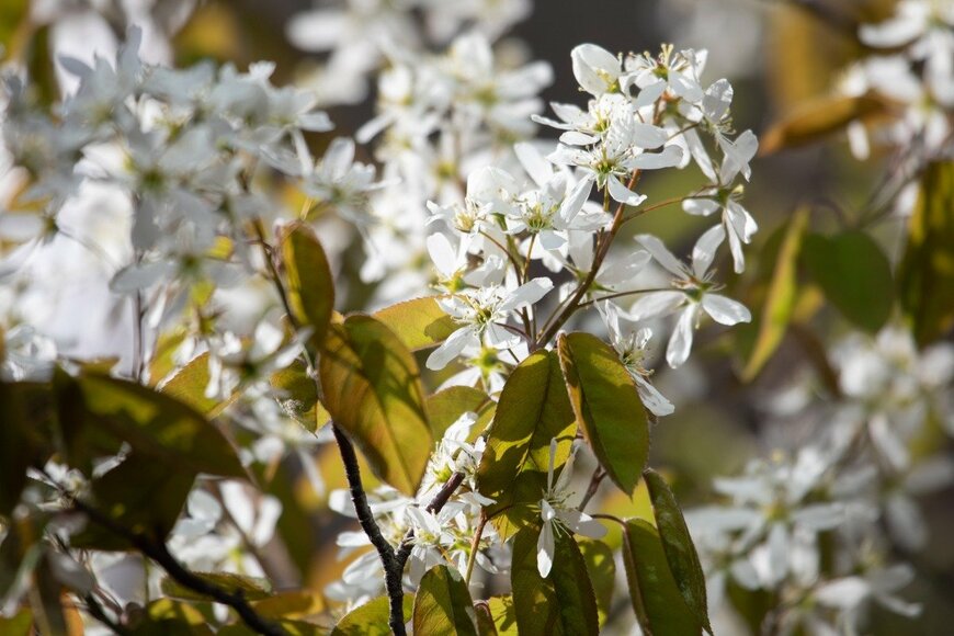 Birute/istockphoto.com