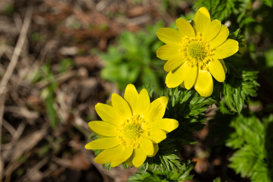 zikko2020/shutterstock.com