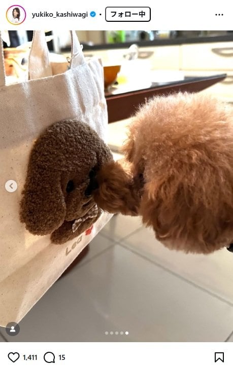 出所：柏木由紀子のInstagram（＠yukiko_kashiwagi）　参照日：2025年12月4日