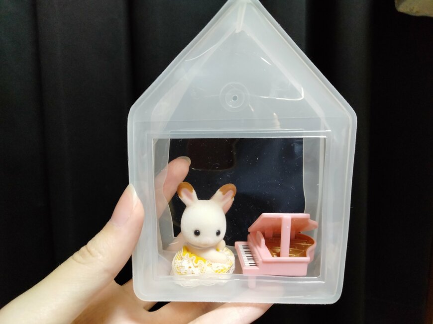 筆者撮影（キャンドゥ、ミニハウスディスプレイ）