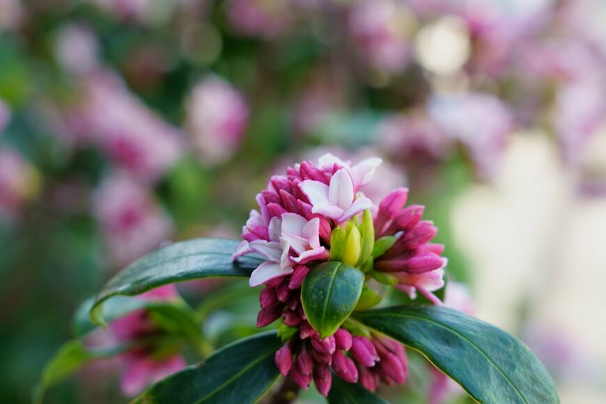 High Mountain/shutterstock.com