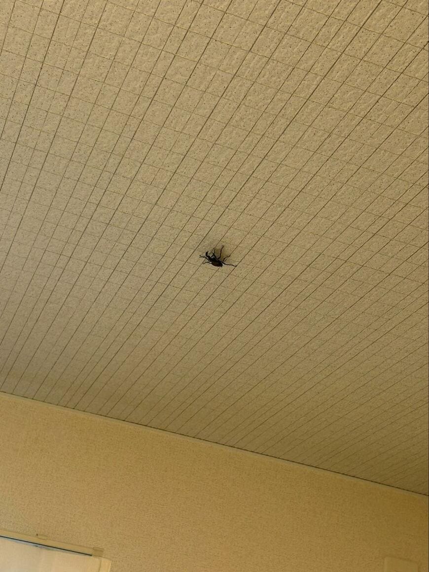 出所：@v6Su2S0zbl12612