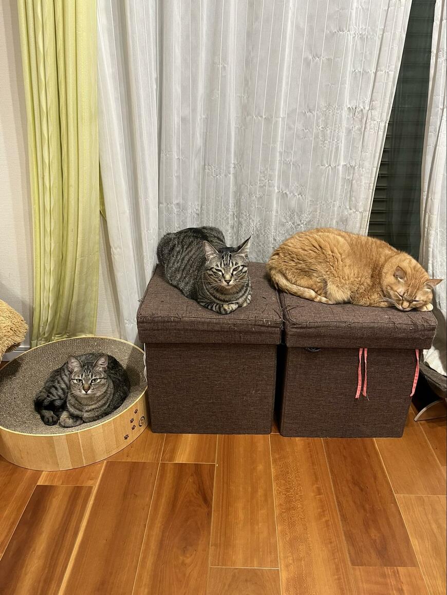 出所：@kagisuzu0531