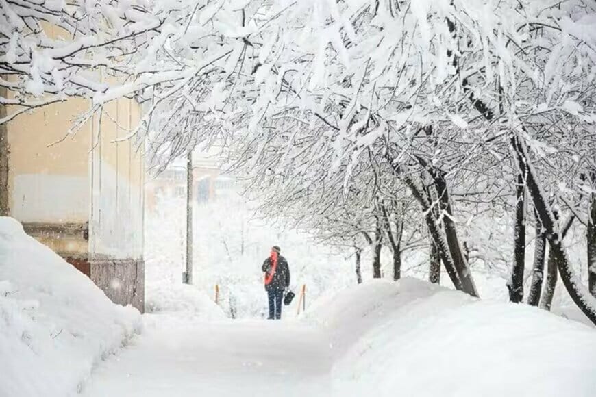 新潟県の豪雪地帯で撮影された光景に衝撃　家の前の状態に「これはヤバイ」