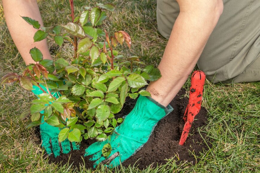 pryzmat/shutterstock.com