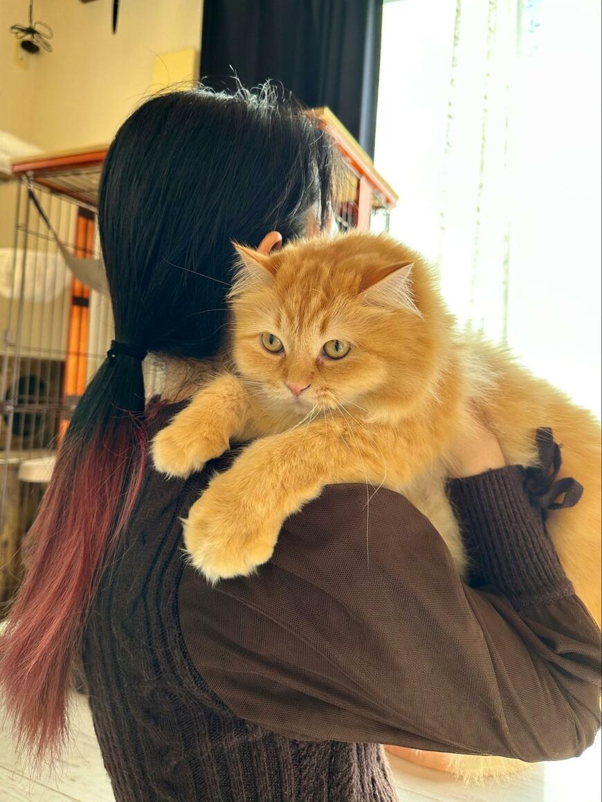 ママに抱かれる猫さん…パパへの「相反する対応」に笑ってしまう「それが同居4年での答えか…」