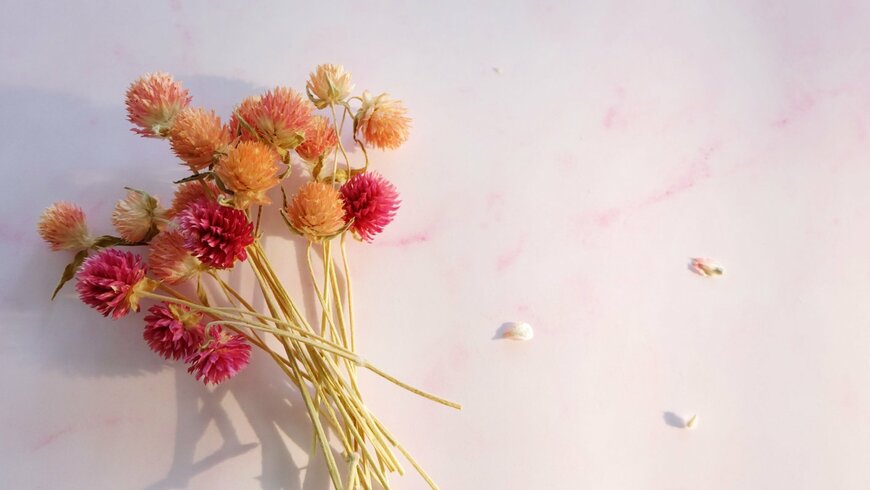 センニチコウのドライフラワーの花束