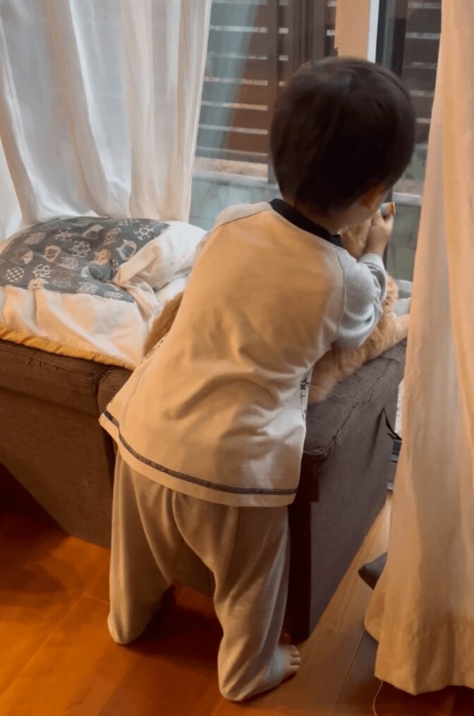 猫をお世話する息子さん