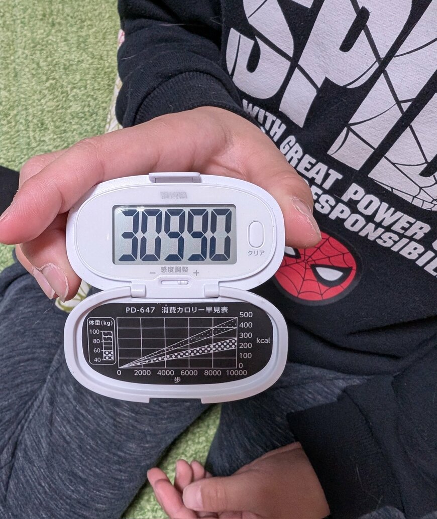 3万歩を超えた8歳児の万歩計