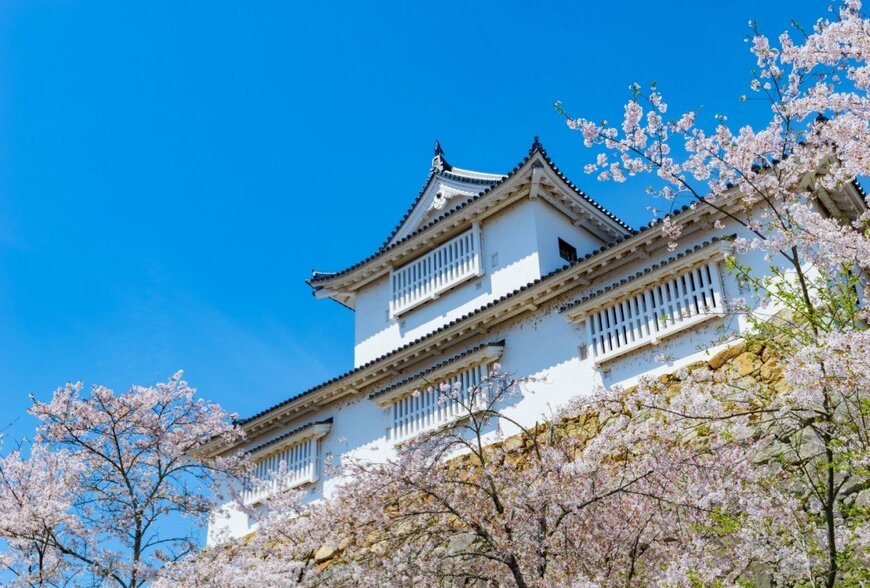 岡山県の津山城