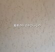 【築32年中古戸建DIY】シミがびっしりなトイレの壁が大変身！塗り替えでおしゃれにした主婦のセンスと技術に「すごーい！」と反響