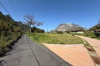 鹿児島県の離島で目撃した「野生動物」に目を疑う　「ここ日本なんですか？」