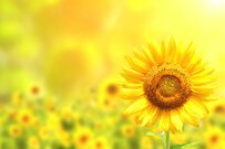 60代で「貯蓄2000～3000万円超世帯」は何割か