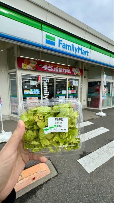 コンビニで売っていたふきのとう