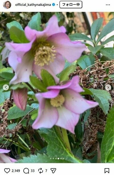 キャシー中島のInstagram投稿