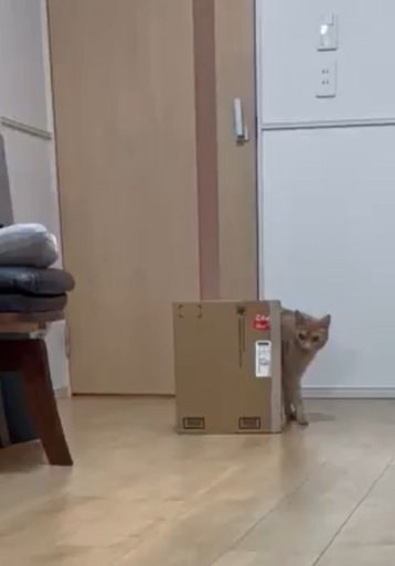 投稿動画のワンシーン