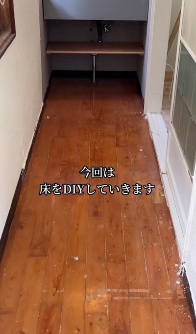 投稿の画像
