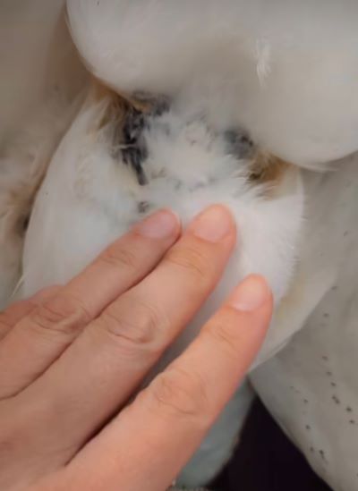 投稿動画のワンシーン