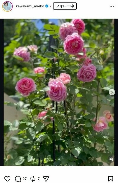 川上未映子のInstagram投稿